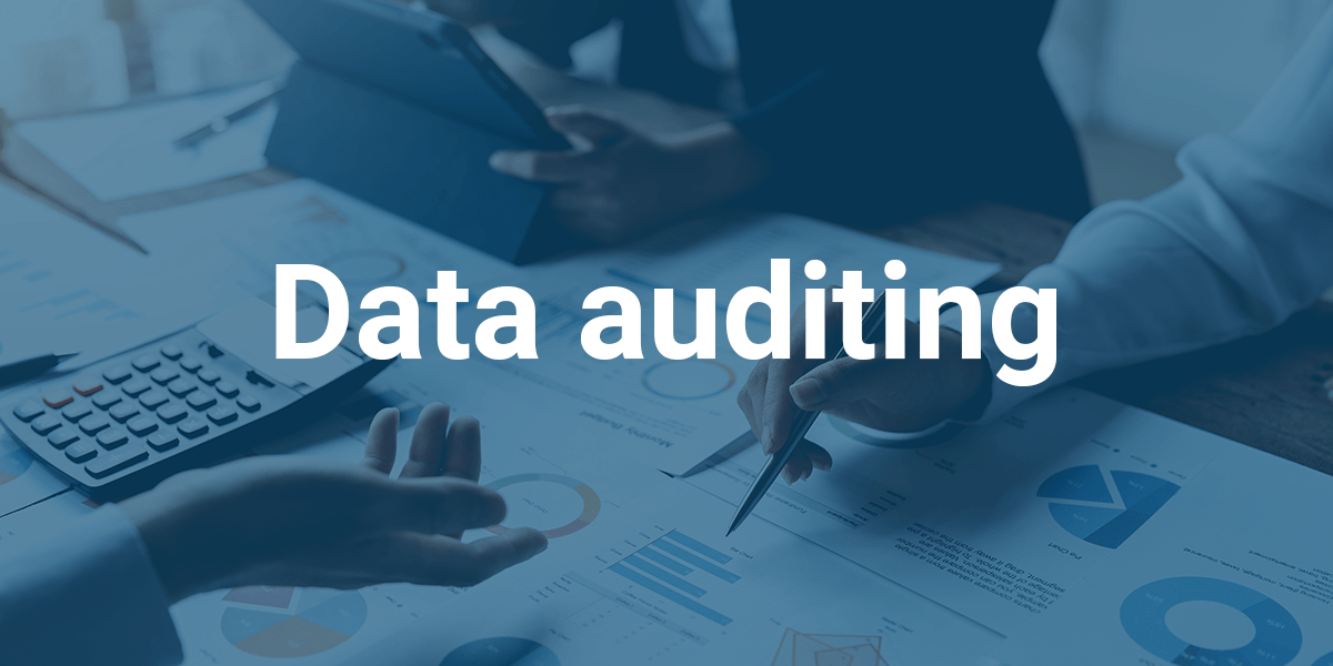 data-auditing-infoverity