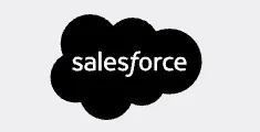 salesforce2