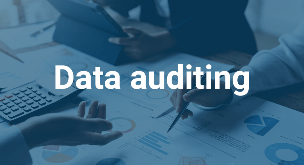 data-auditing-infoverity
